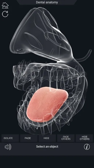 ภาพหน้าจอของ My Dental Anatomy